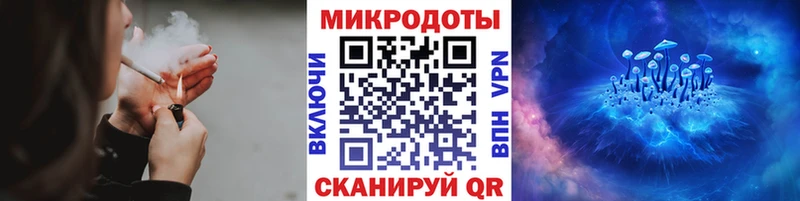 Псилоцибиновые грибы Psilocybe  Лыткарино 